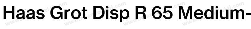 Haas Grot Disp R 65 Medium字体转换